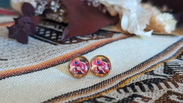 Boucle d'oreilles - Charm.