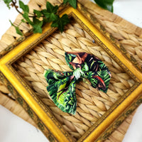 Boucle - Jungle Dino